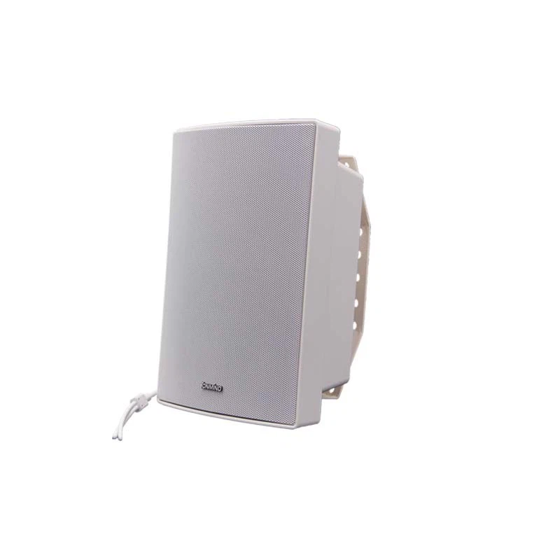 30w wall speaker